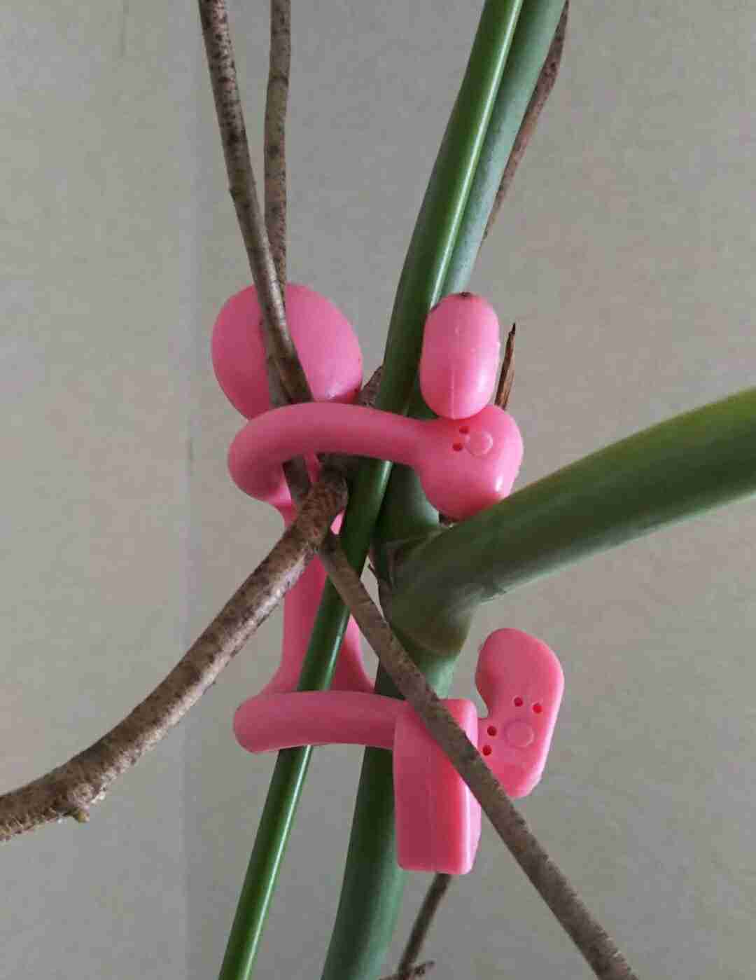 生活感溢れる写真☆part2