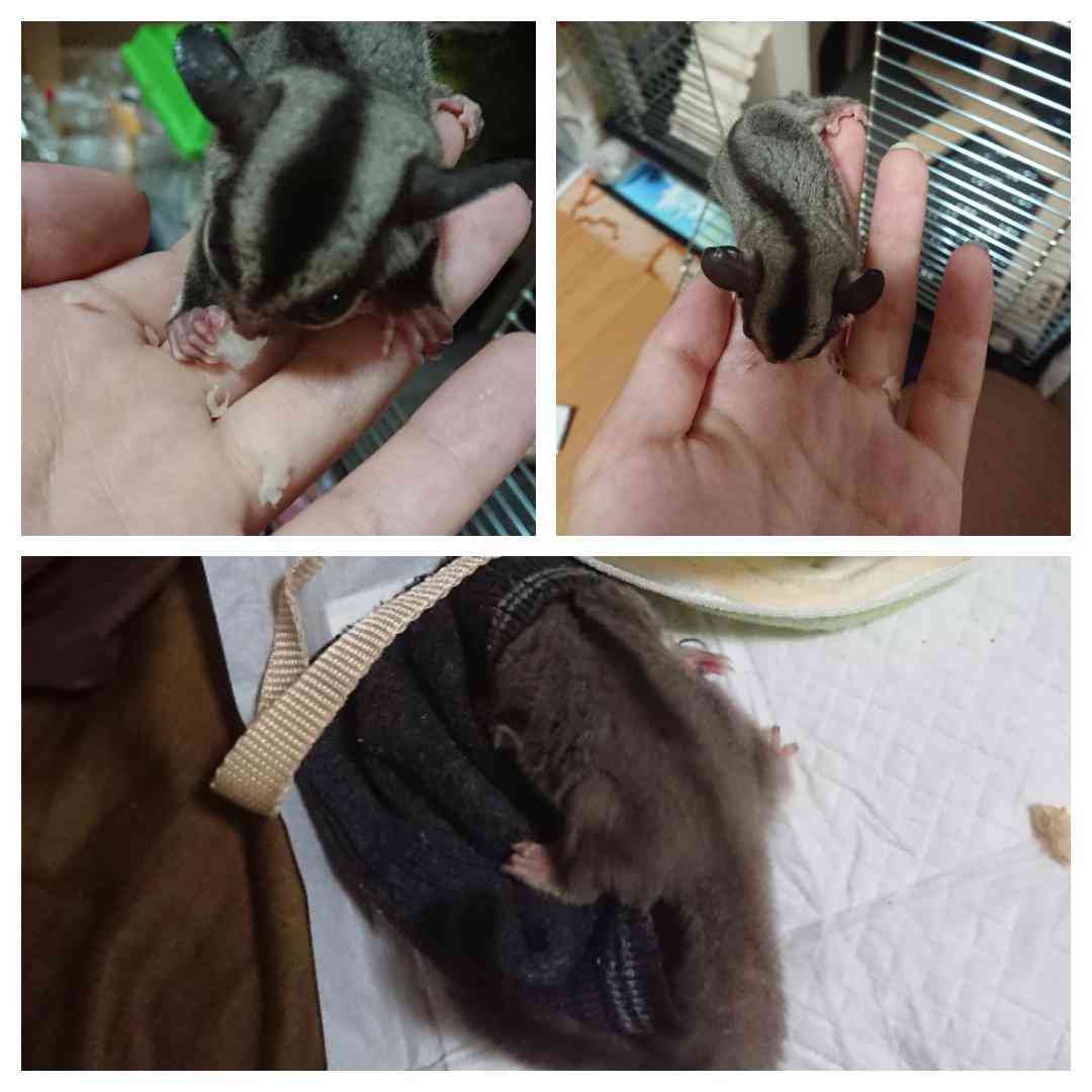 生活感溢れる写真☆part2