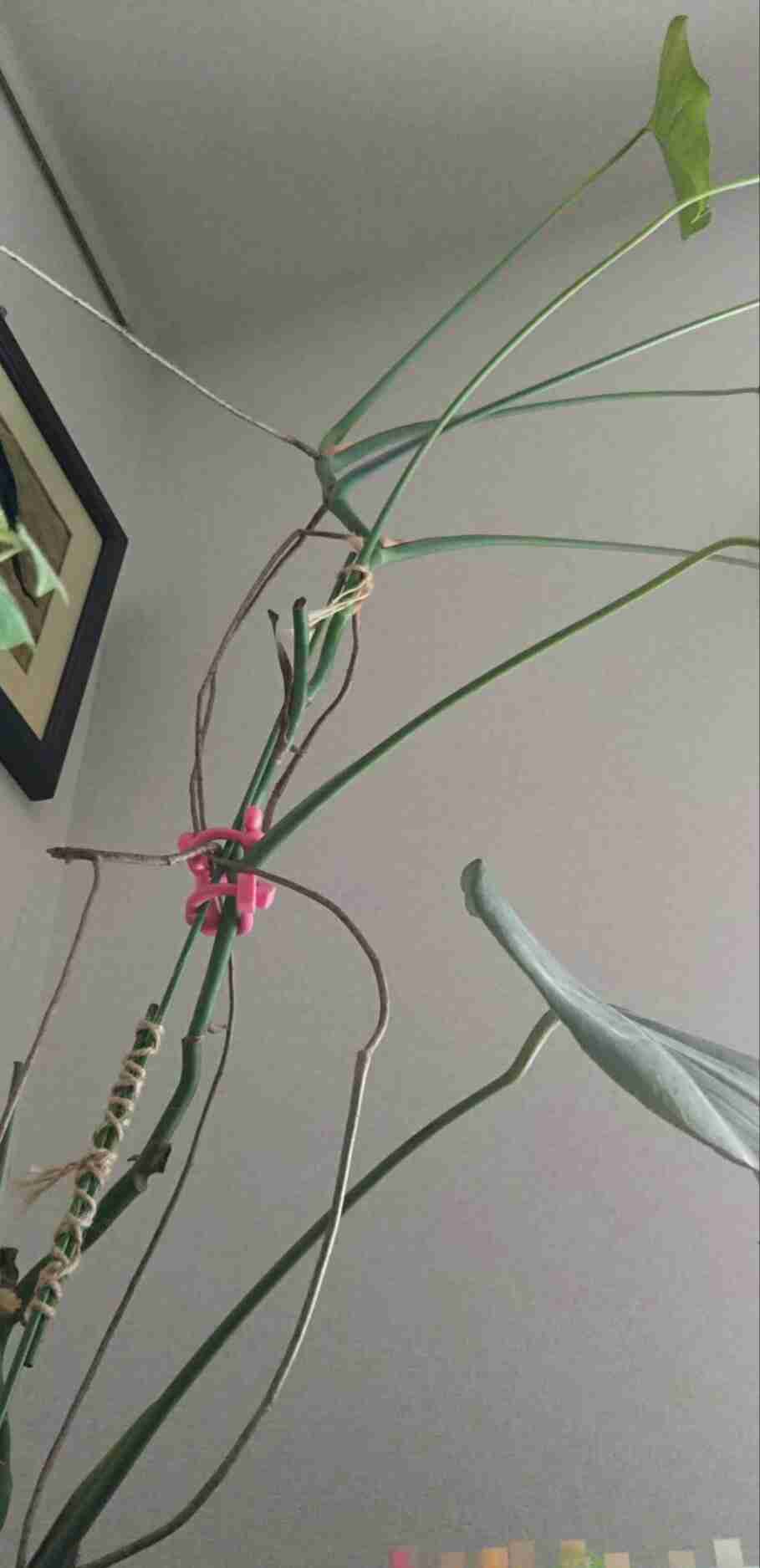 生活感溢れる写真☆part2