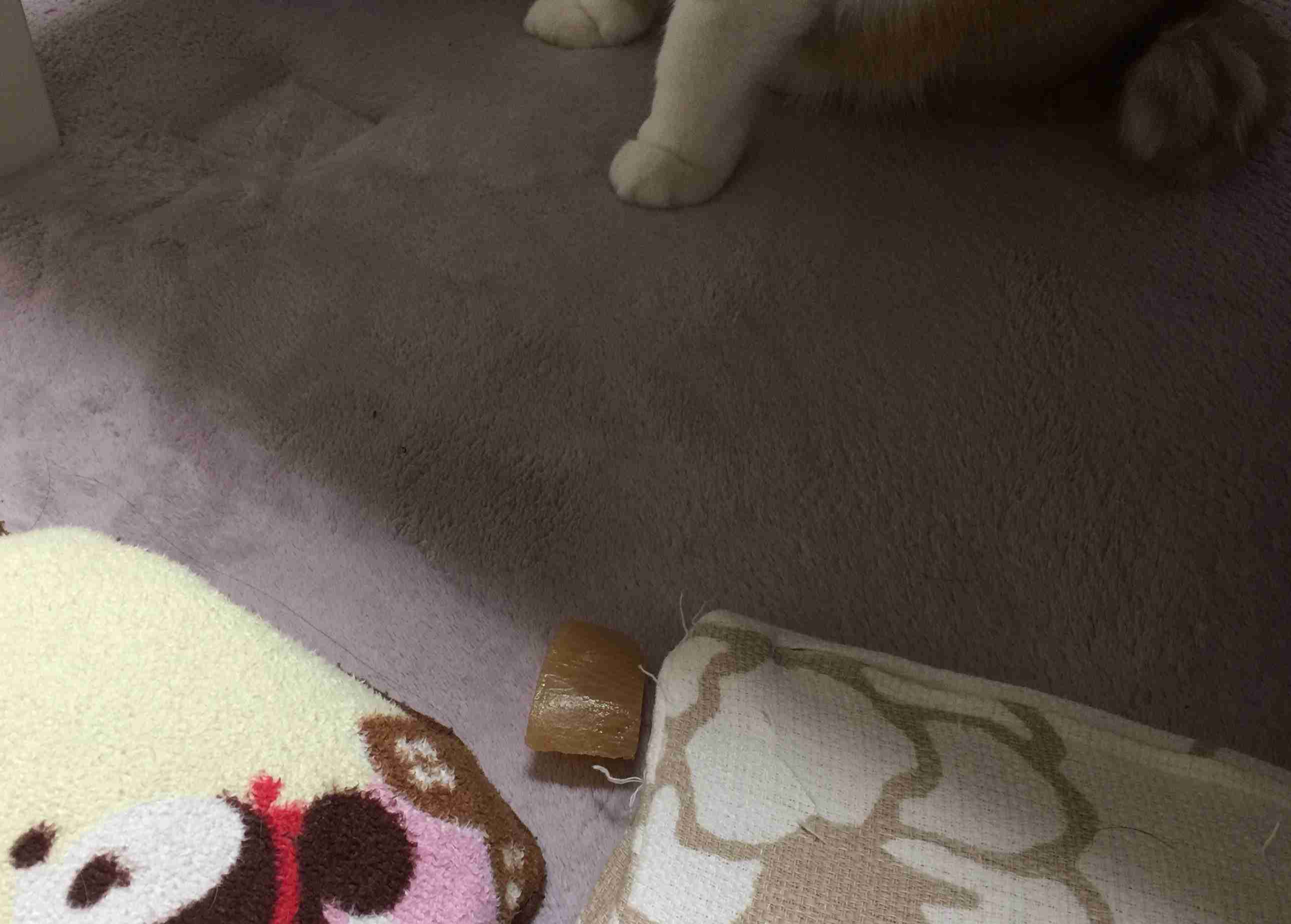 生活感溢れる写真☆part2