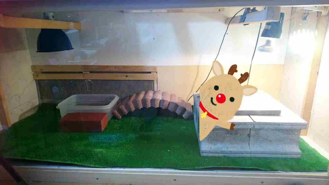 生活感溢れる写真☆part2