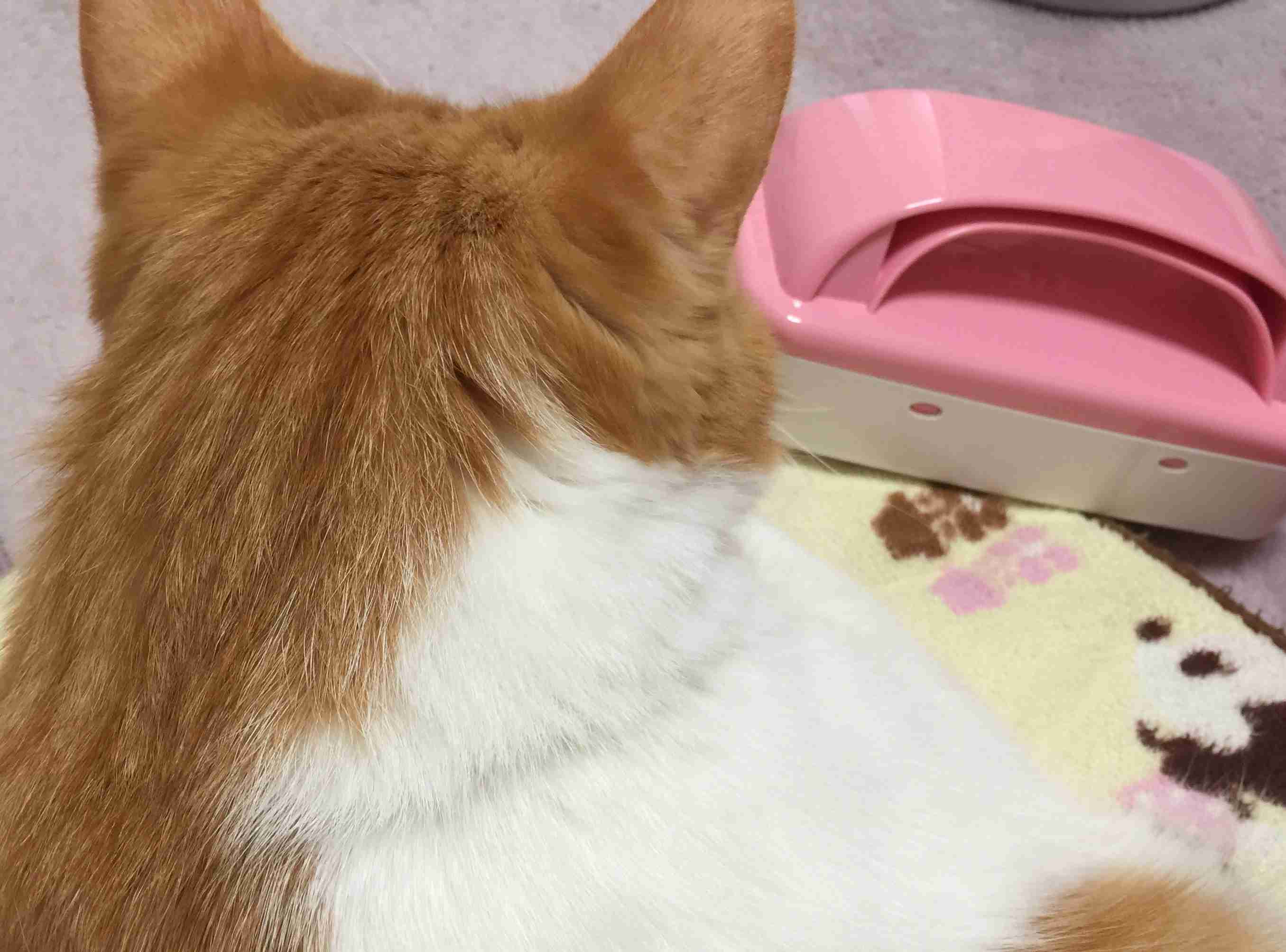 生活感溢れる写真☆part2