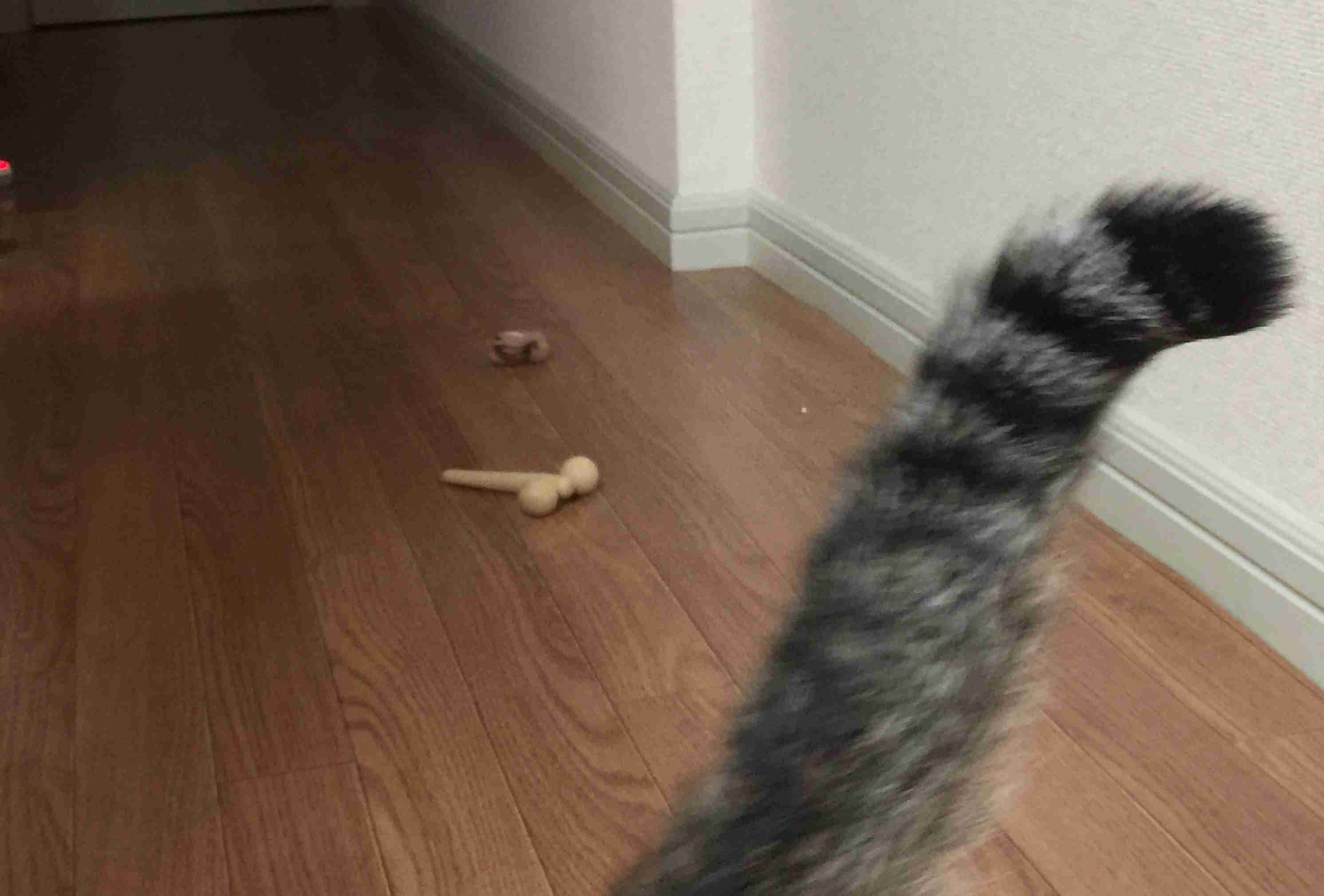 生活感溢れる写真☆part2