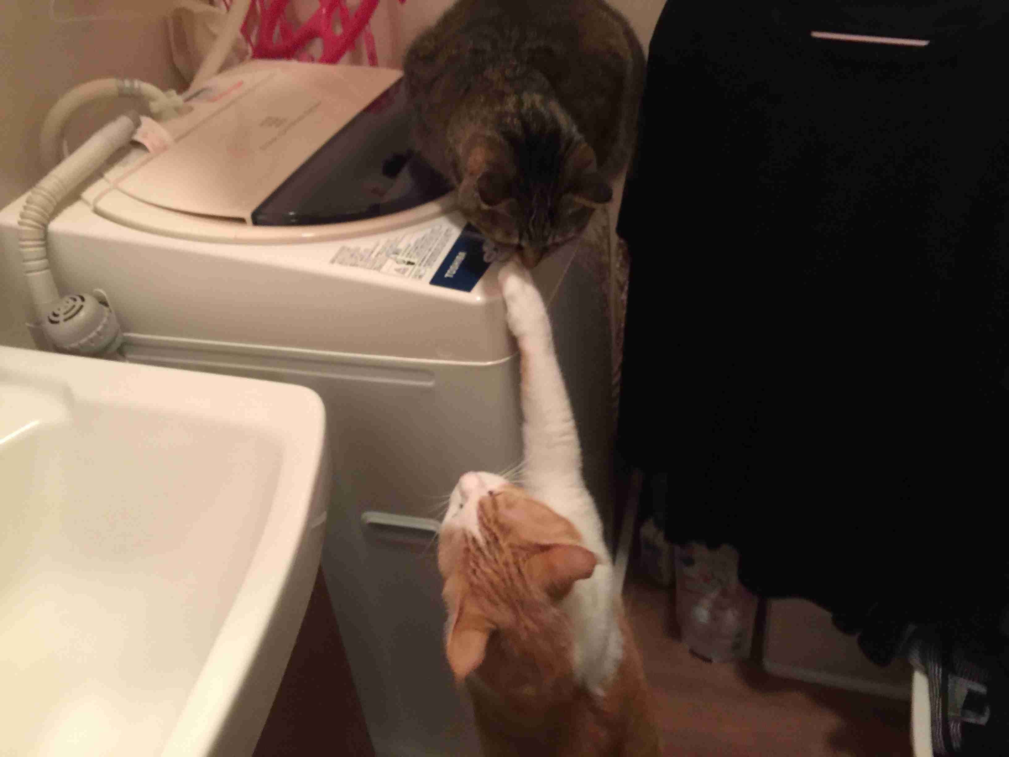 生活感溢れる写真☆part2