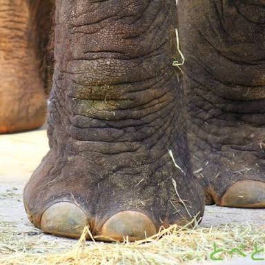 生活感溢れる写真☆part2