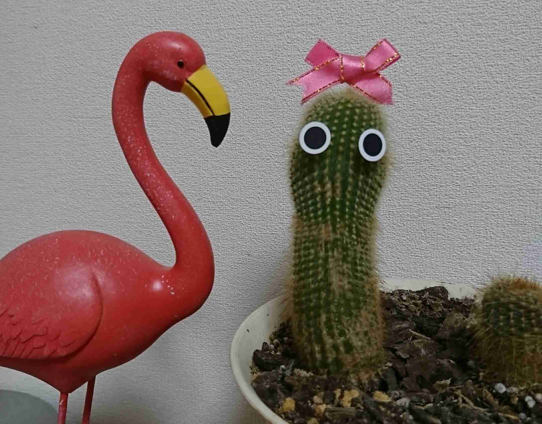 生活感溢れる写真☆part2