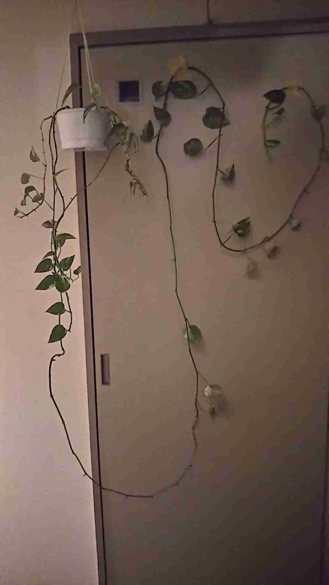 生活感溢れる写真☆part2