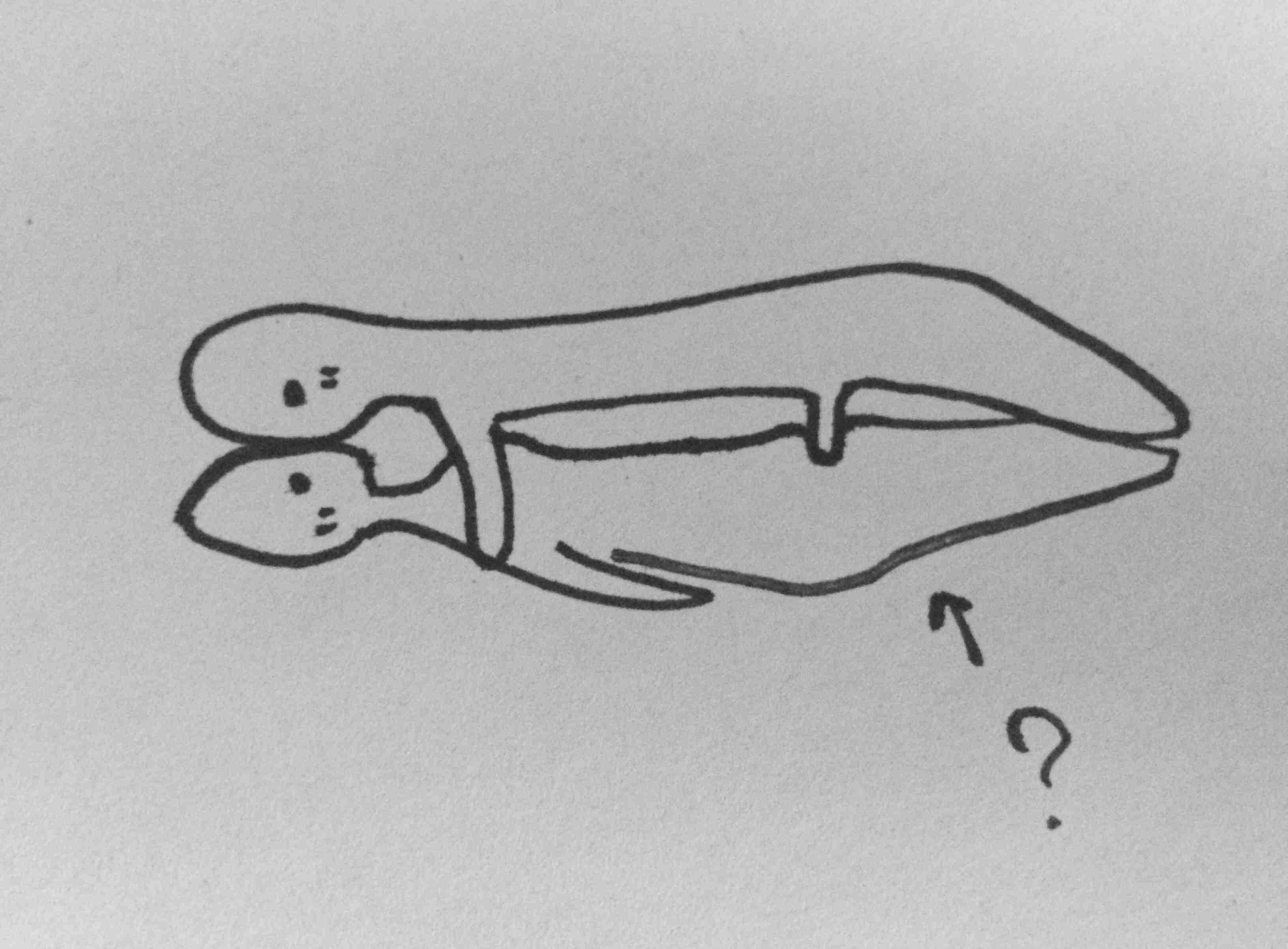 生活感溢れる写真☆part2