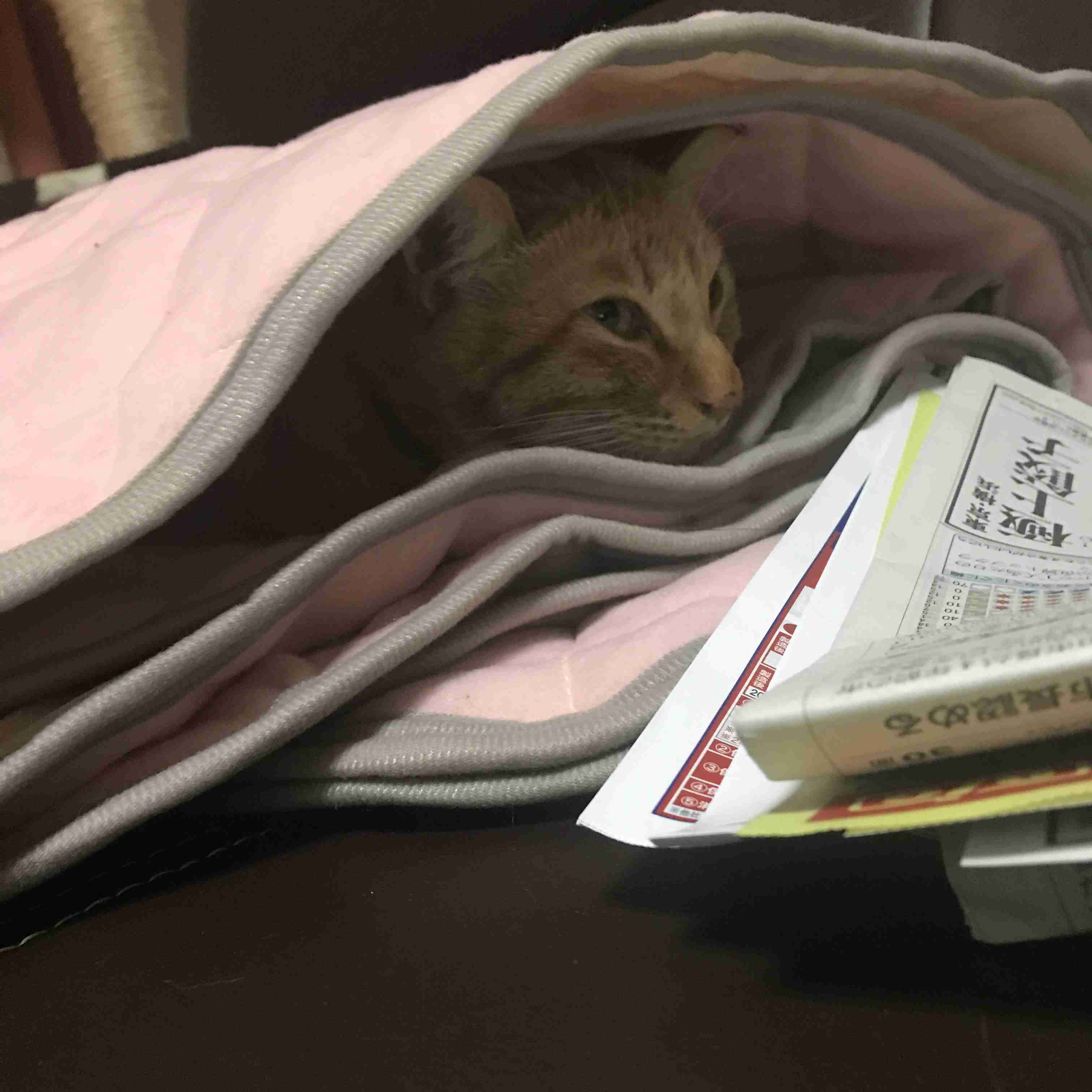 生活感溢れる写真☆part2