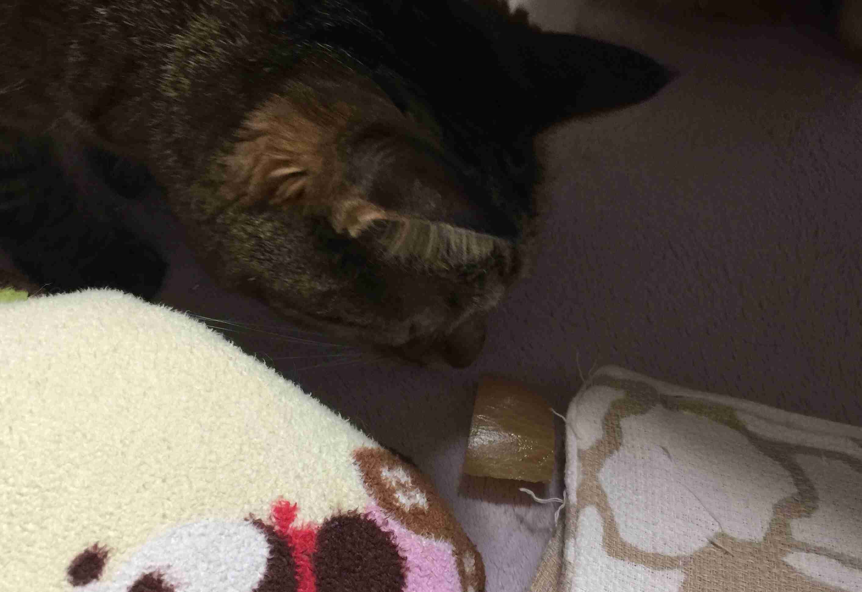 生活感溢れる写真☆part2