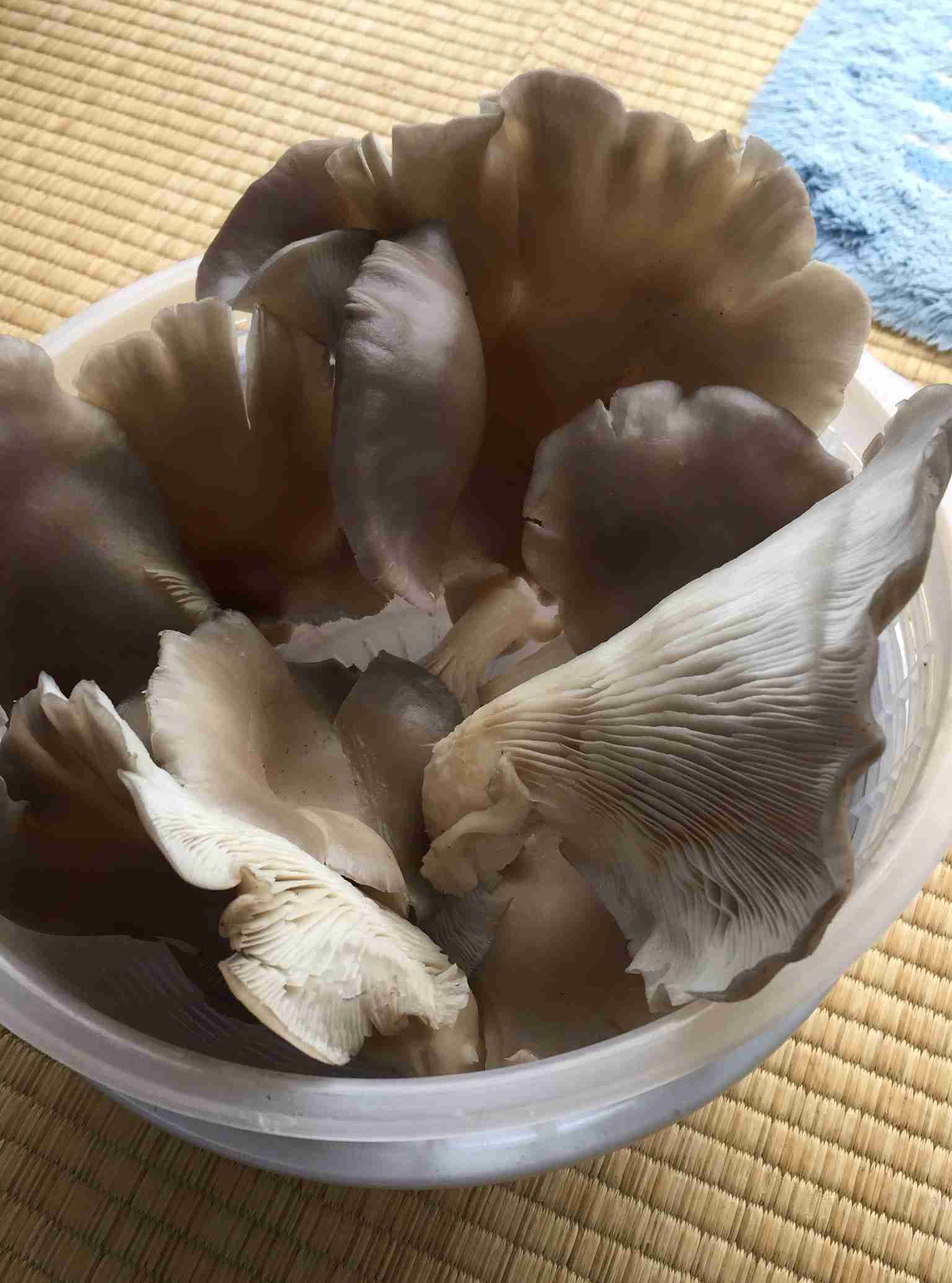 生活感溢れる写真☆part2