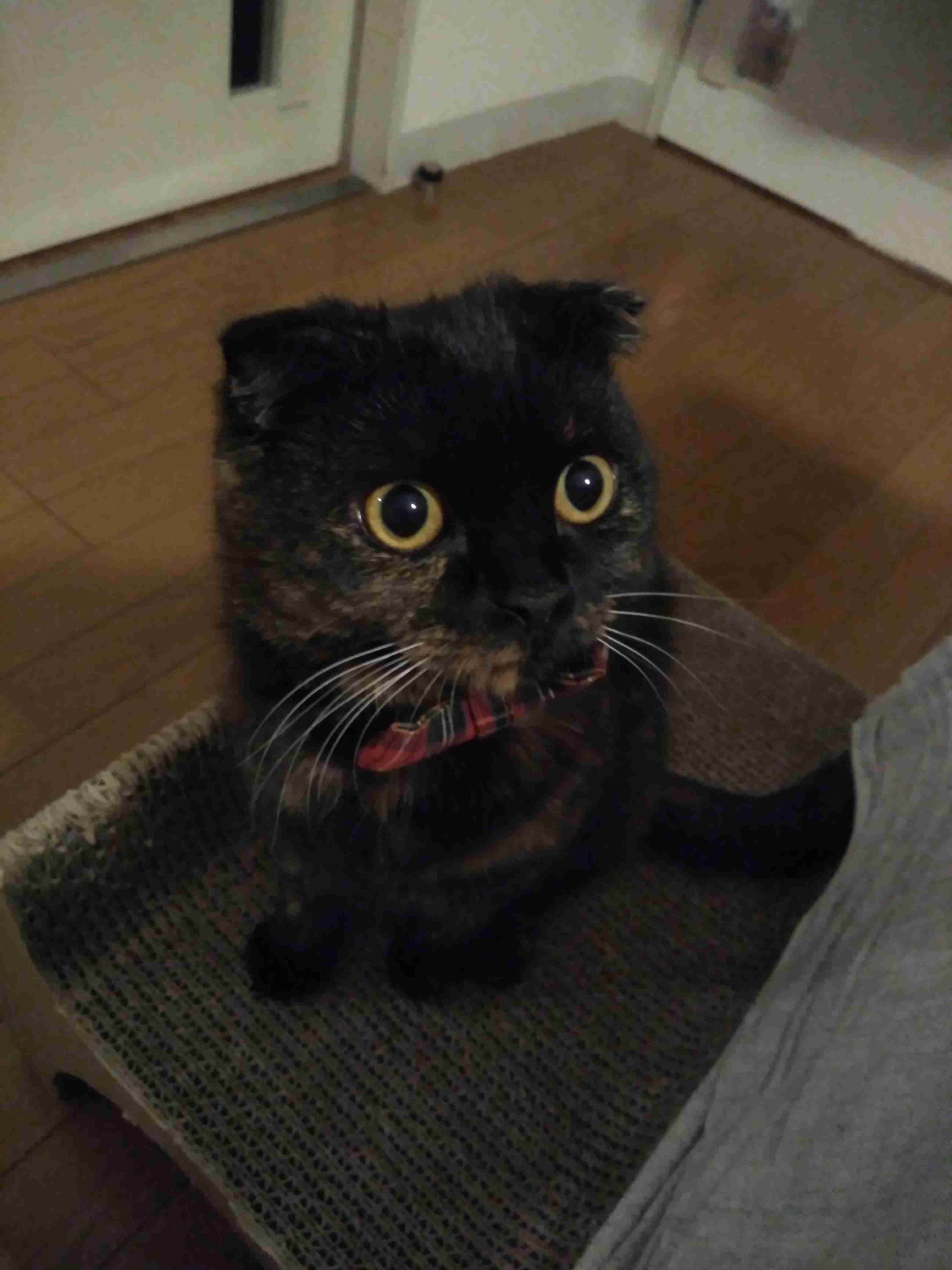 生活感溢れる写真☆part2