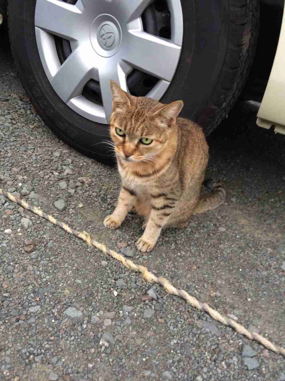 生活感溢れる写真☆part2