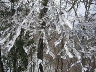 生活感溢れる写真☆part2