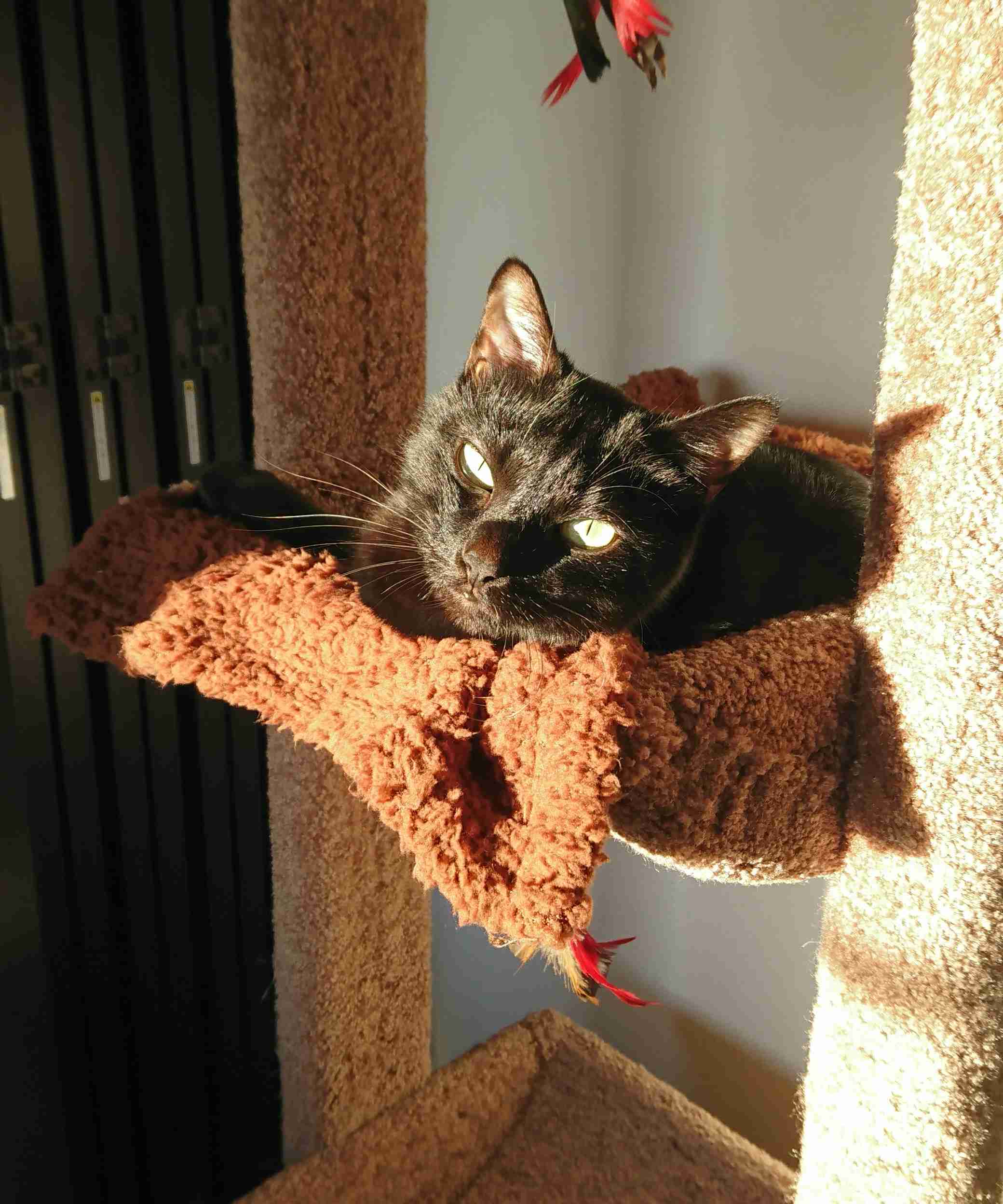 生活感溢れる写真☆part2