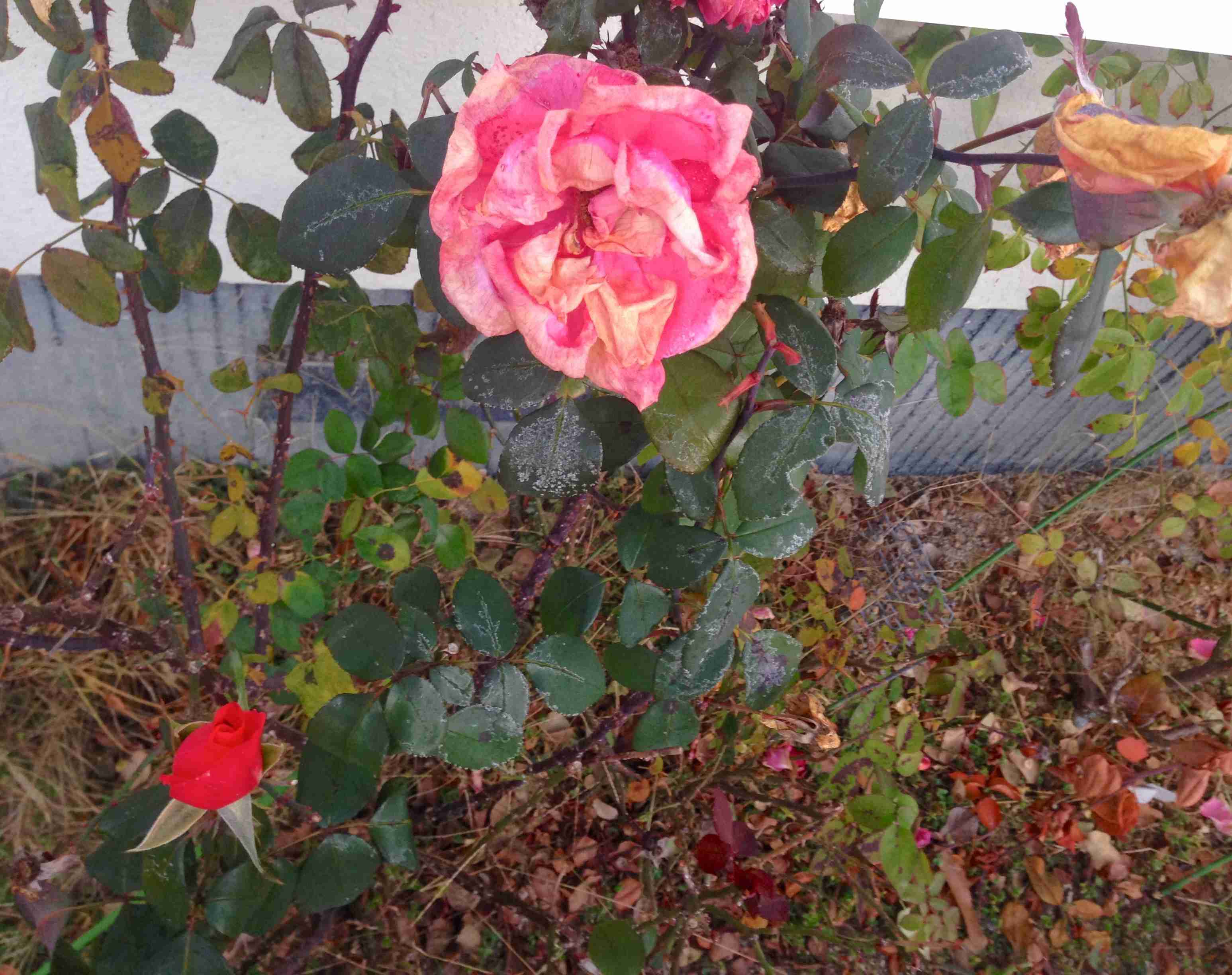 生活感溢れる写真☆part2