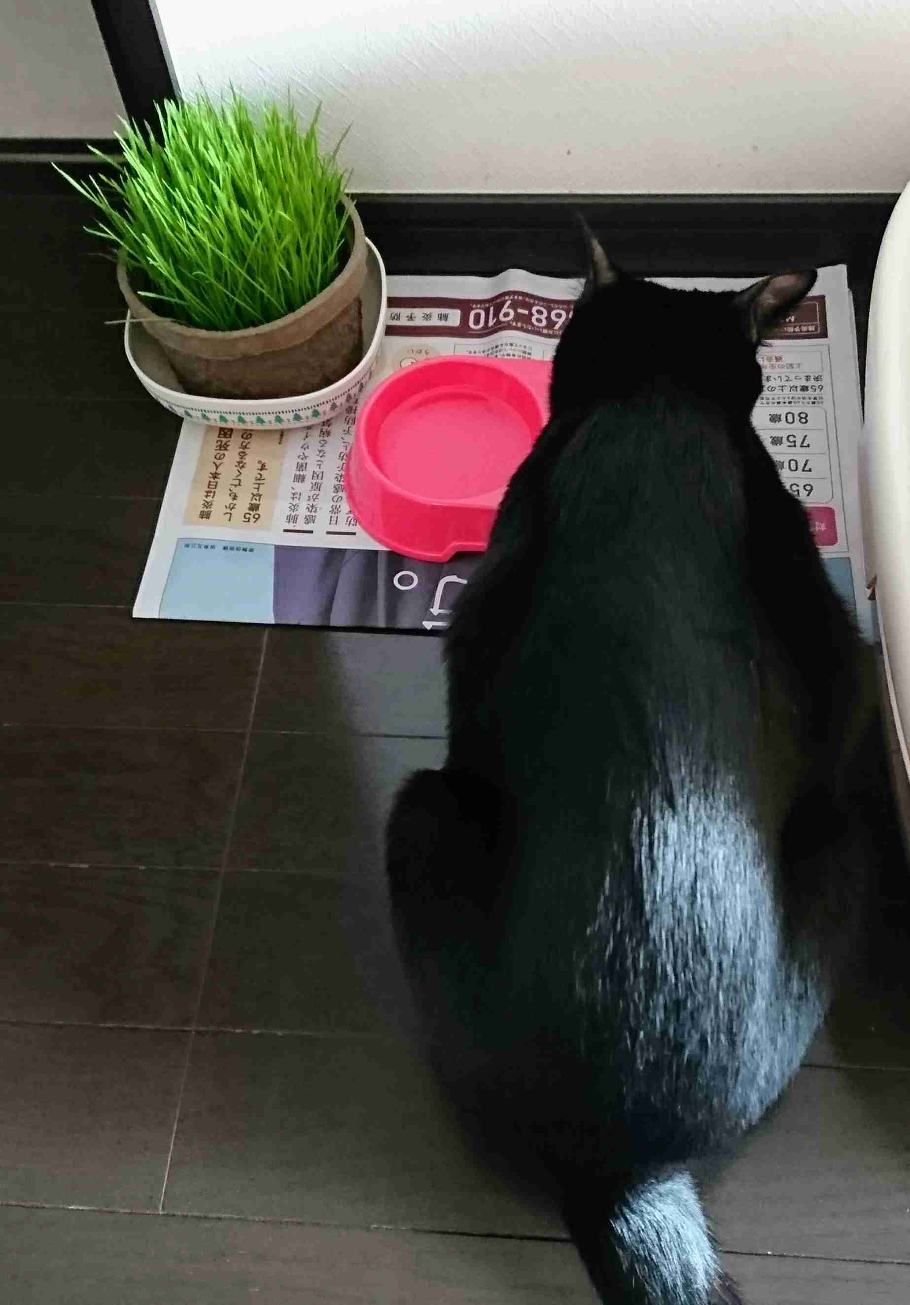 生活感溢れる写真☆part2