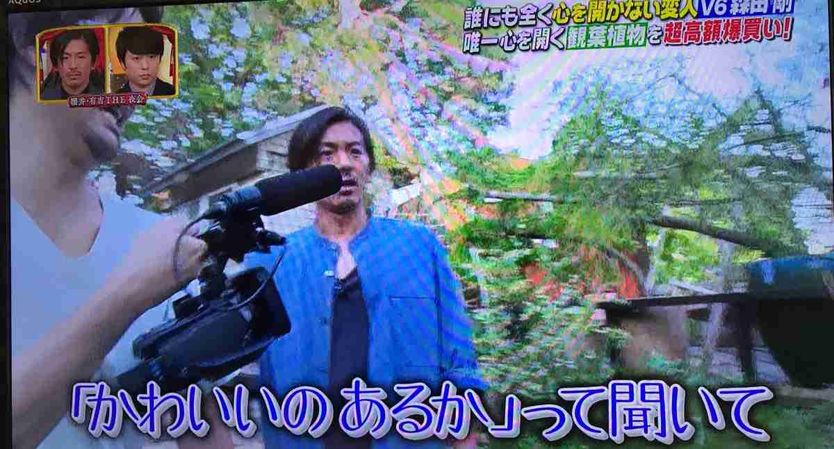 あの芸能人の意外な趣味・特技