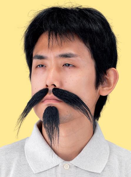 ヒゲが似合う有名人