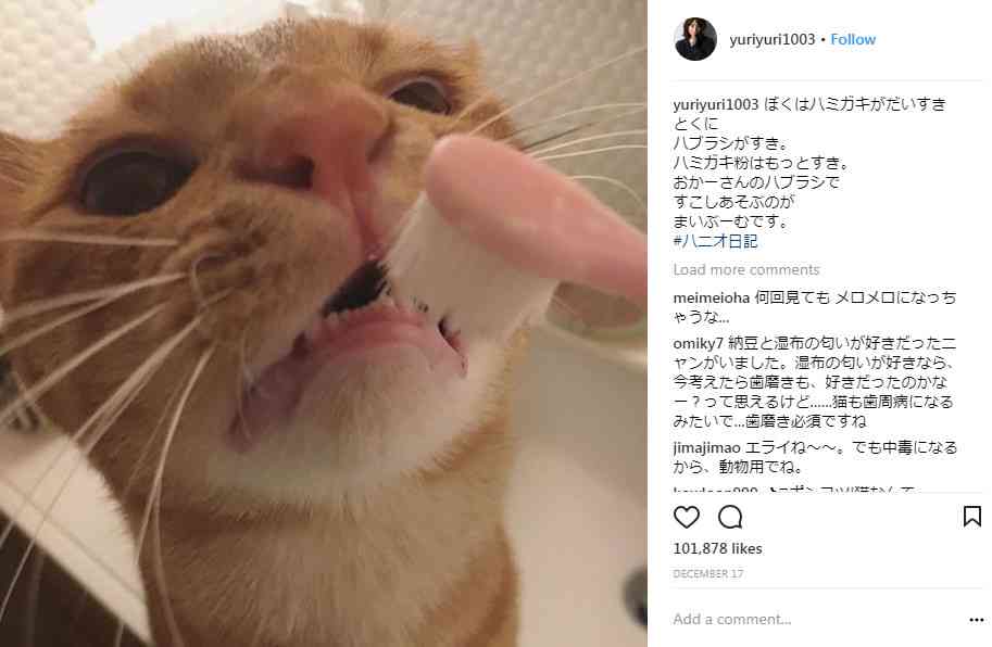 〖画像〗色んな有名人や芸能人のインスタ画像を見てみたい!