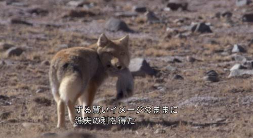 ちょっとズルいな(笑)と思ったこと