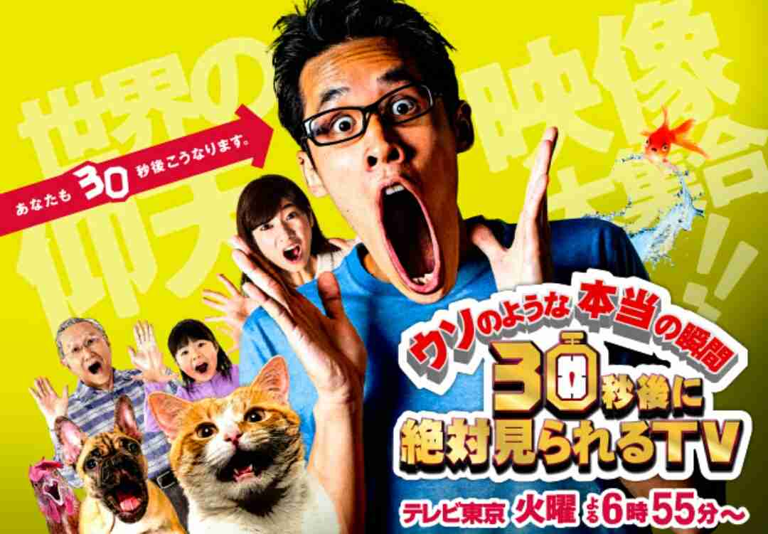 いつの間にかしれっと終わった番組、その内終わりそうな番組