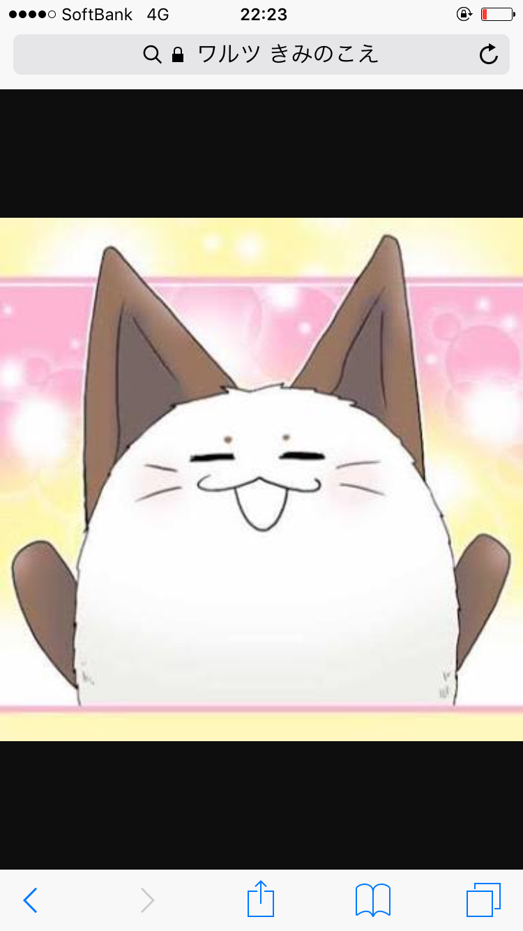 犬派？猫派？鳥派？