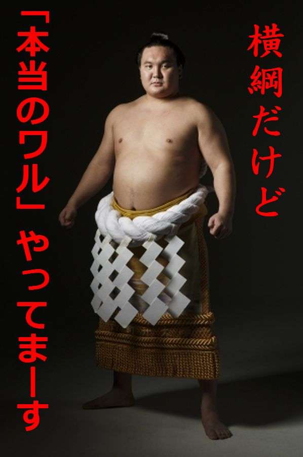 〜だけど◯◯やってます!!