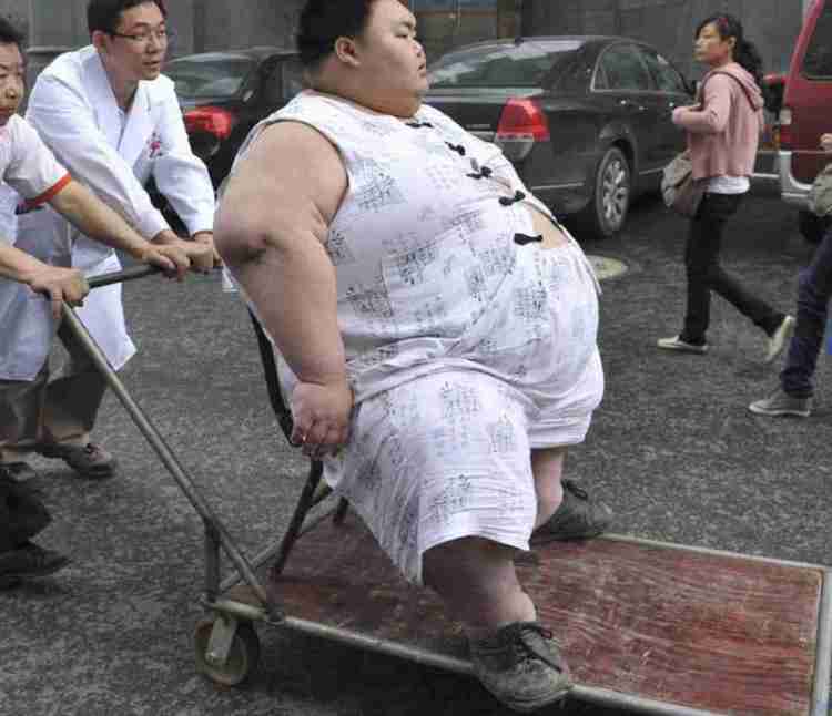 好きな車一台プレゼントするよ！どれが良い？