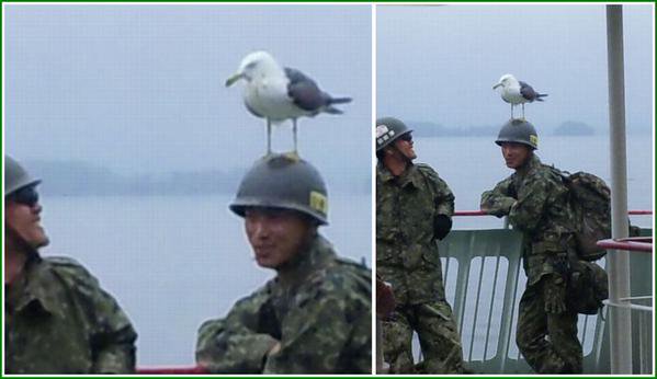 好きな男性の制服ありますか？