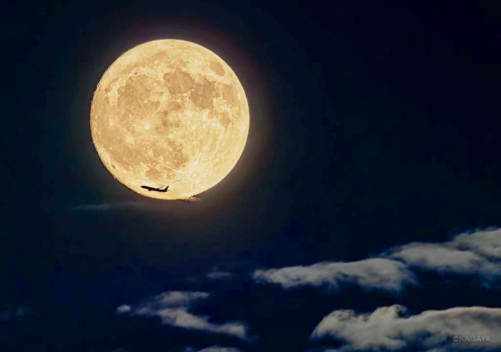 冬の空がすきな人☆