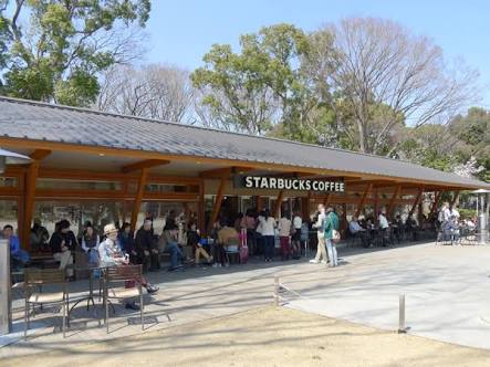 いろんなスタバを見たい！！