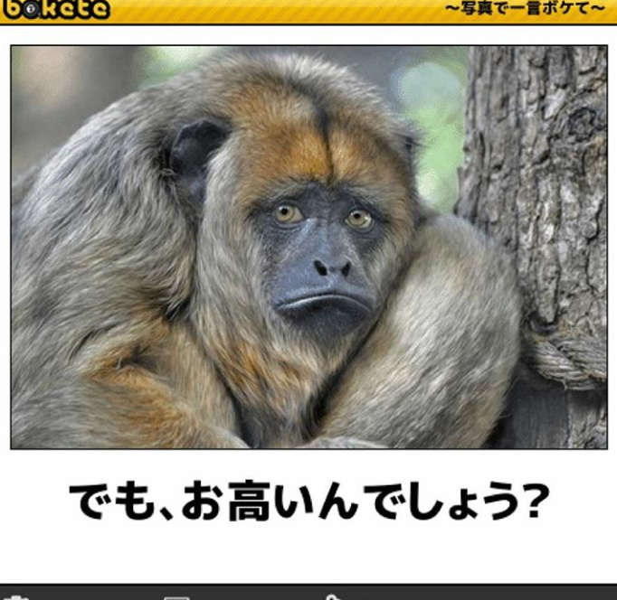 年末あるある