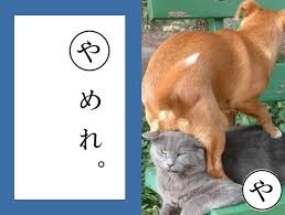 夫、彼氏に引いた瞬間