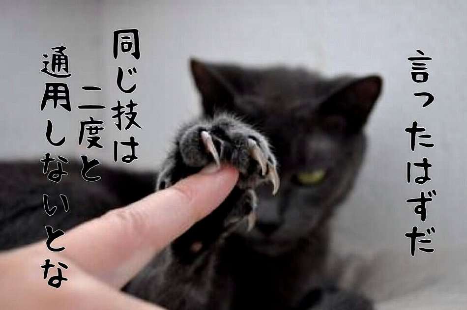 人生最大のピンチ