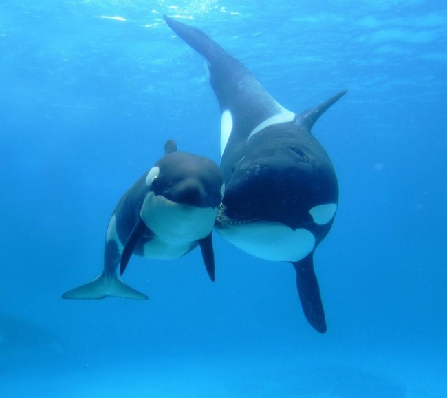 男性有名人のエスコート姿が見たい♡　part2