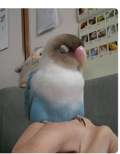 遅く帰ってきた夫にお腹すいたと言われたら