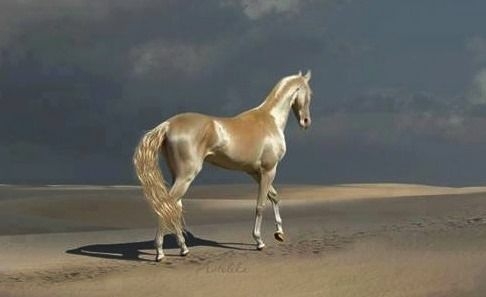 【新年】縁起が良さそうな画像を貼るトピ