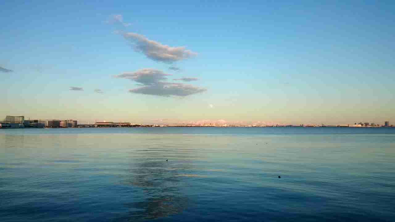 【新年】縁起が良さそうな画像を貼るトピ