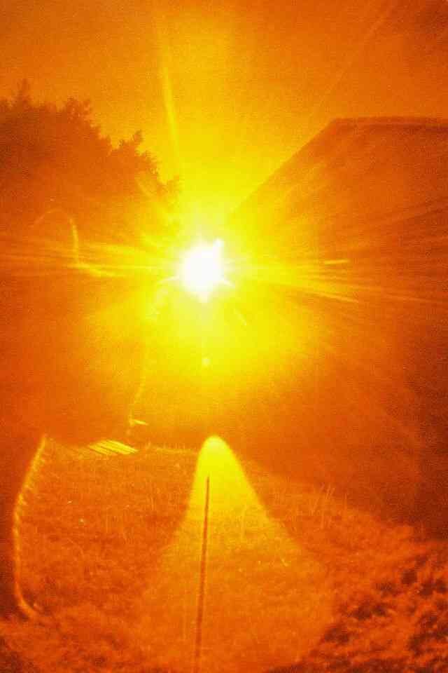 【新年】縁起が良さそうな画像を貼るトピ