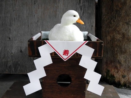 【新年】縁起が良さそうな画像を貼るトピ