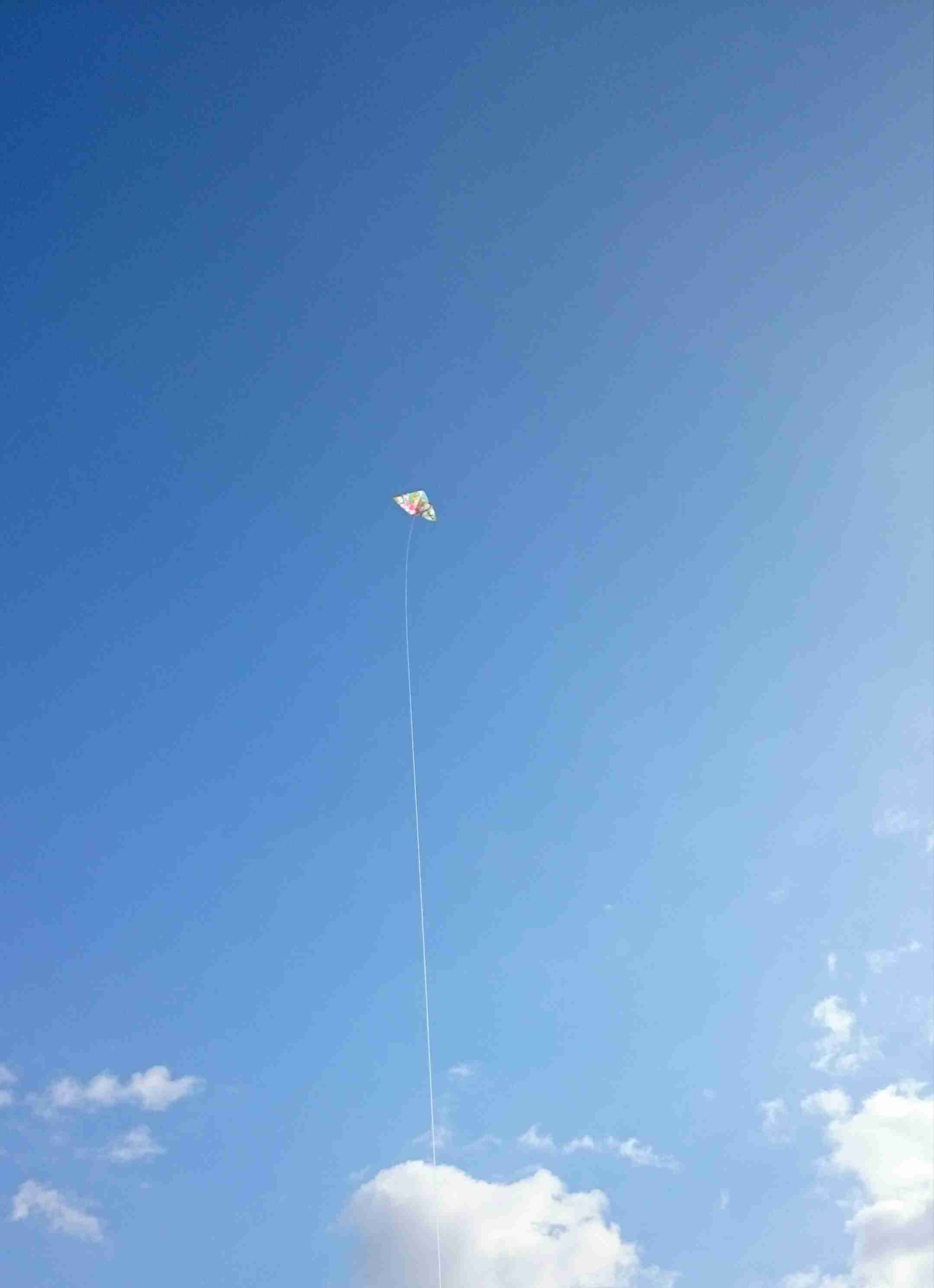 【新年】縁起が良さそうな画像を貼るトピ