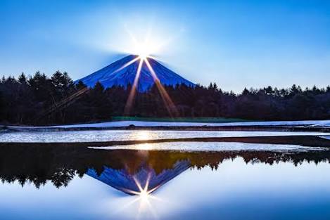 【新年】縁起が良さそうな画像を貼るトピ