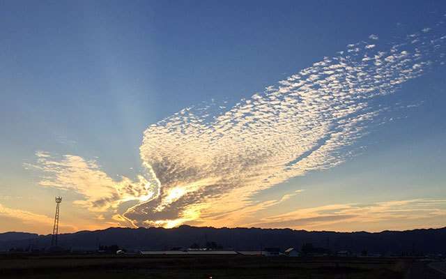 【新年】縁起が良さそうな画像を貼るトピ