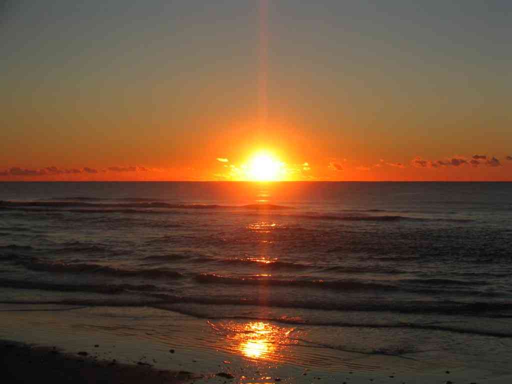 【新年】縁起が良さそうな画像を貼るトピ