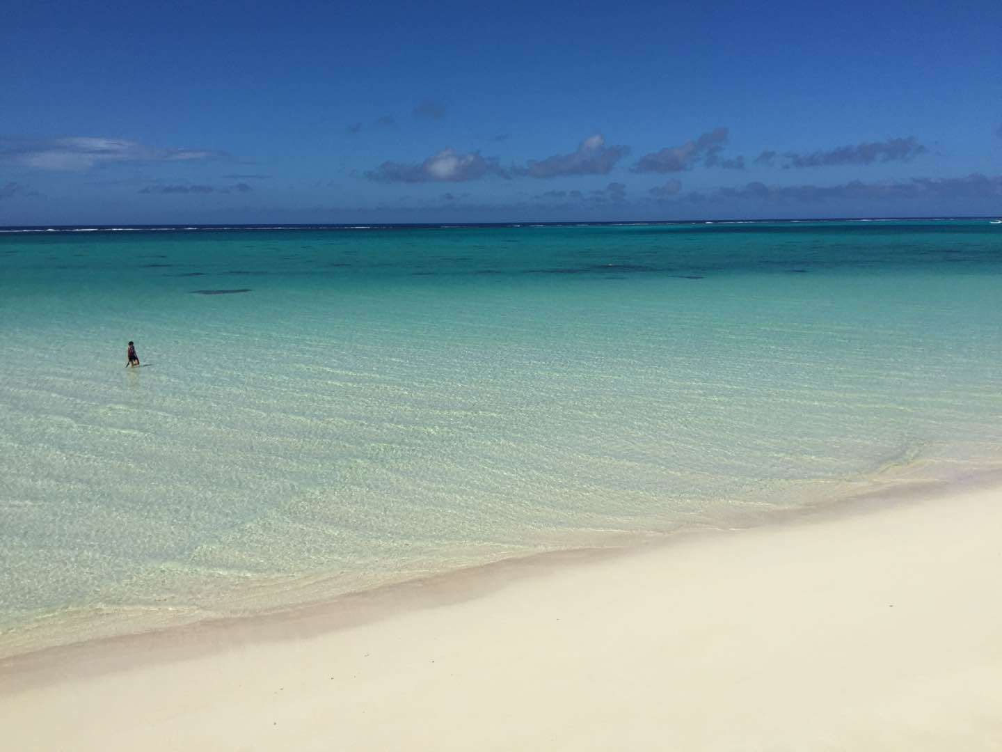 【新年】縁起が良さそうな画像を貼るトピ