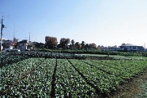 【城南4区】品川区、目黒区、大田区、世田谷区に住んでる方