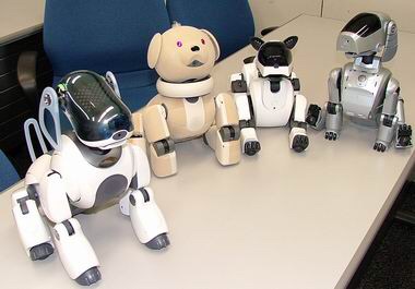 黒柳徹子が溺愛するAIBO 和田アキ子の影響で「機能を失っていく」