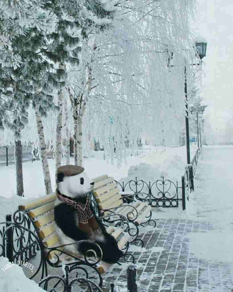 今どれだけ寒いかを報告しあうトピ