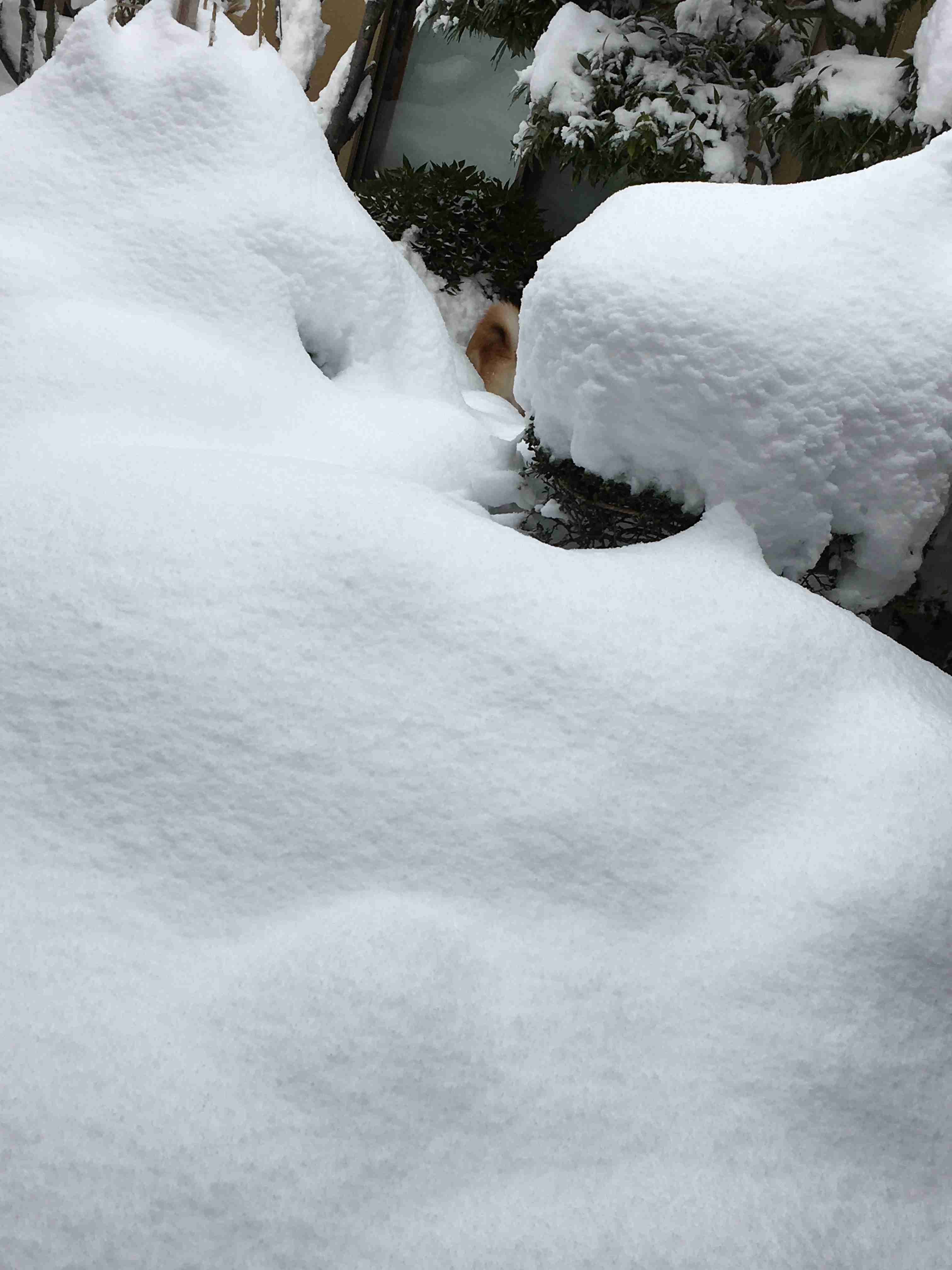 今どれだけ寒いかを報告しあうトピ